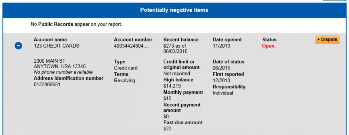 Screenshot of Credit Report focusing on Negative Accounts