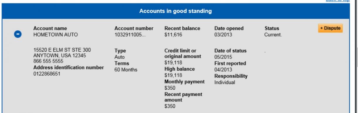 Screenshot of Credit Report focusing on Positive Accounts